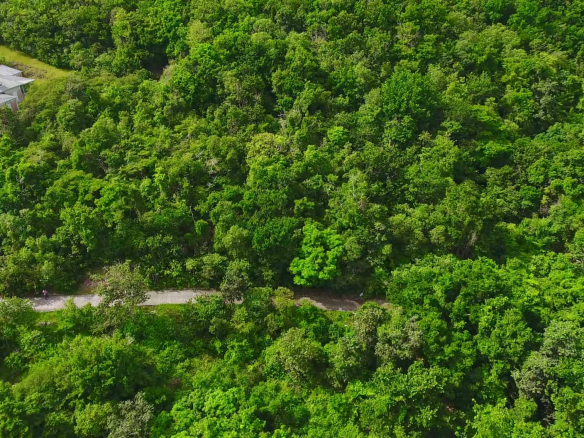 Old Manor Estate – Lot 4