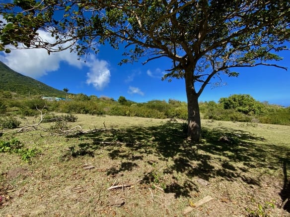 Old Manor Estate Lot – 11.17 Acres