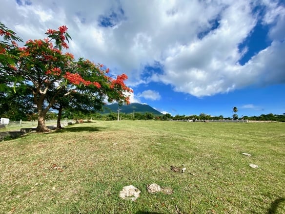 Millside @ Paradise Estate Lot 13
