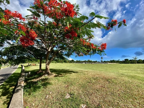 Millside @ Paradise Estate Lot 24