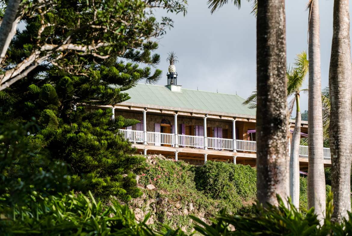 Pineapple Estate – 3.5 Acres