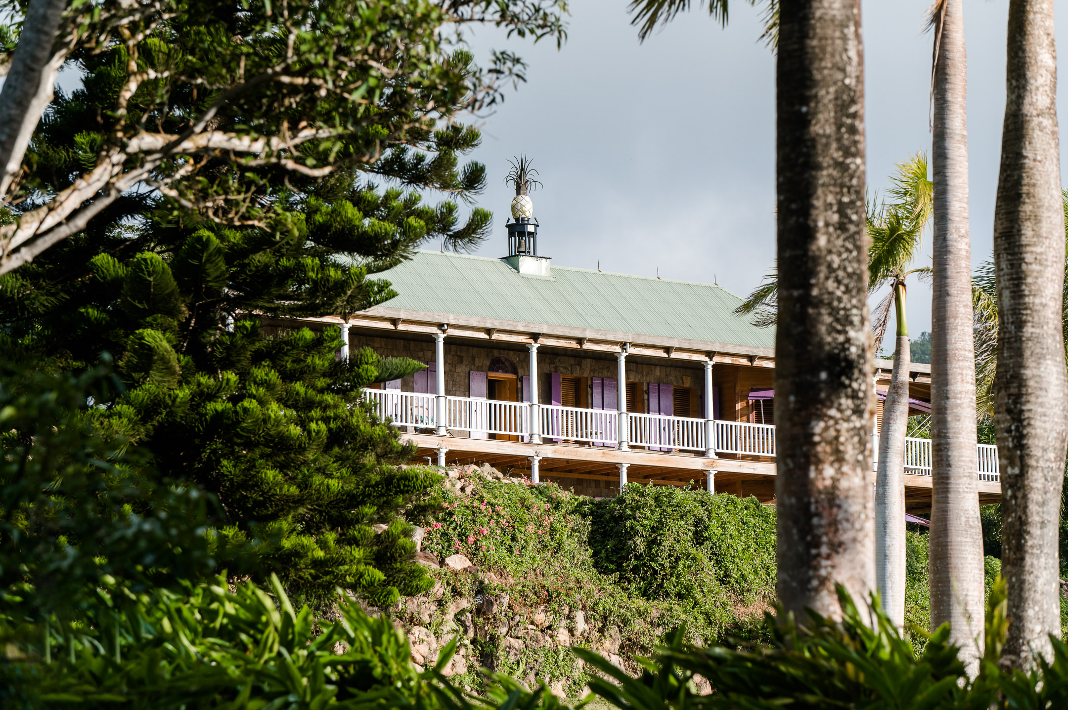 Pineapple Estate – 3.5 Acres