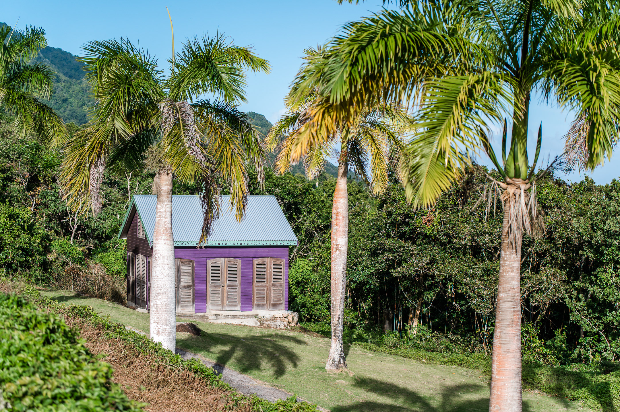 Pineapple Estate – 3.5 Acres