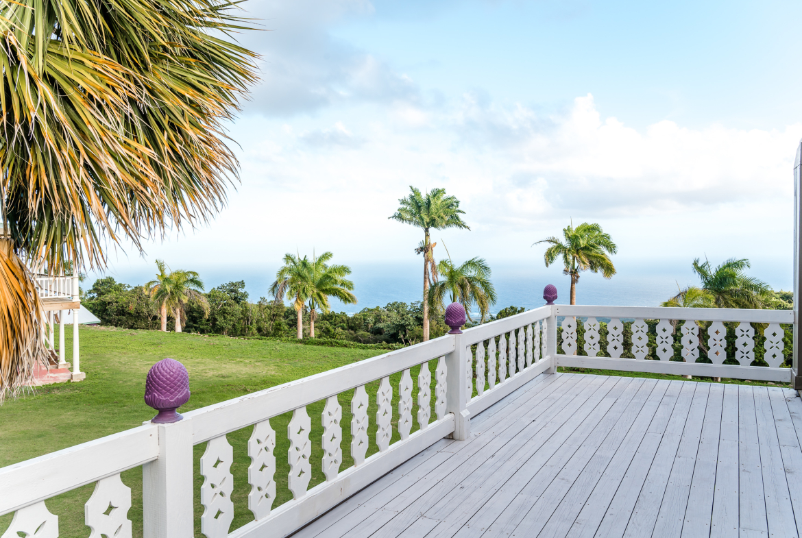 Pineapple Estate – 3.5 Acres