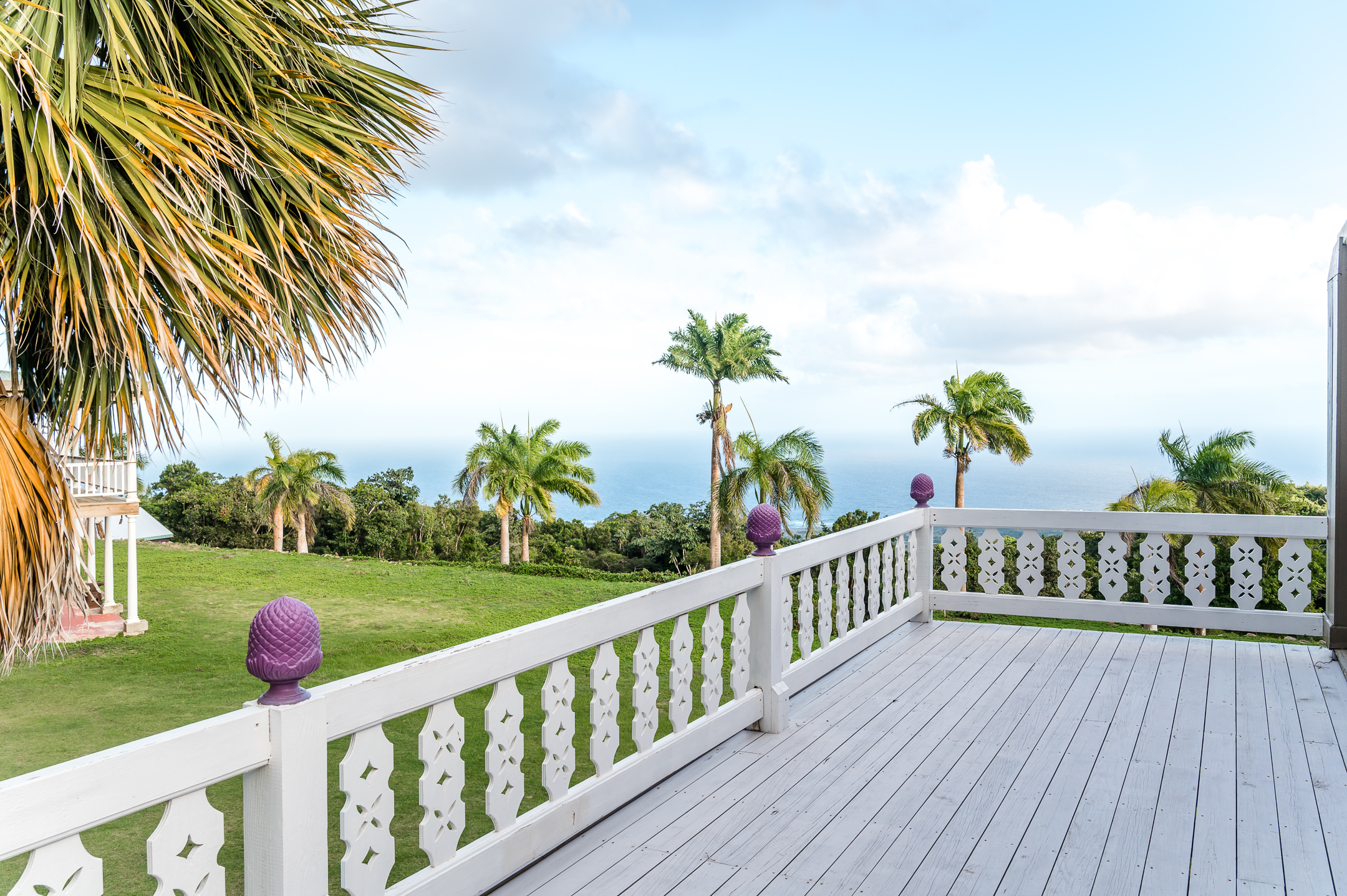 Pineapple Estate – 3.5 Acres