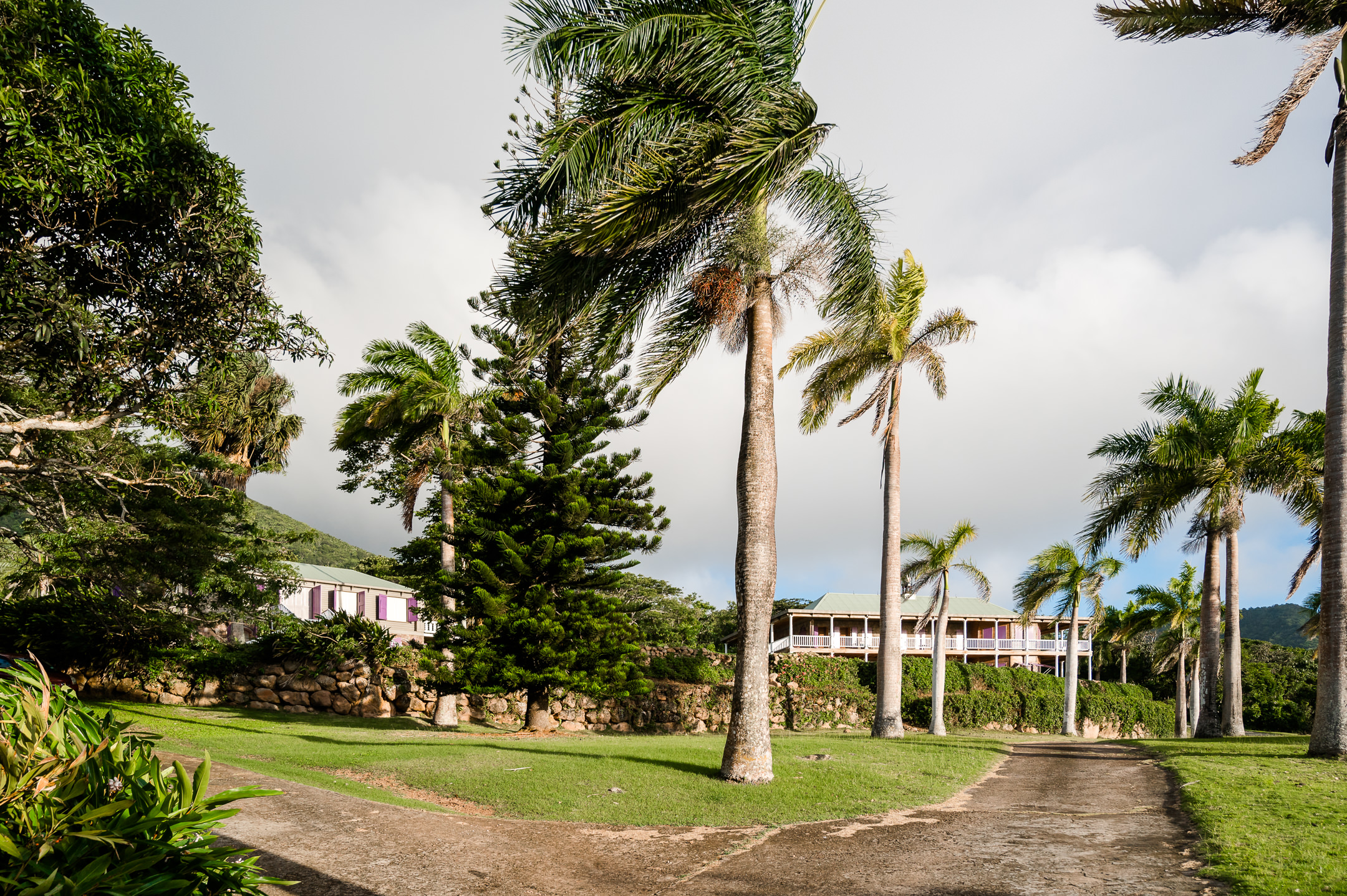 Pineapple Estate – 3.5 Acres
