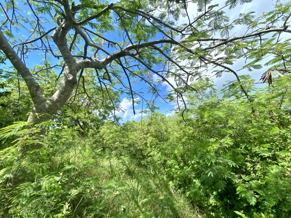 Red Hawk Ridge – Lot 26 – 0.8 Acre