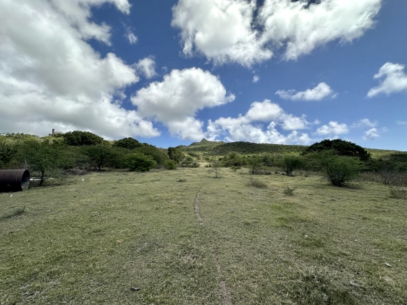 Busch Hill Gardens Lot A2 – 1 Acre