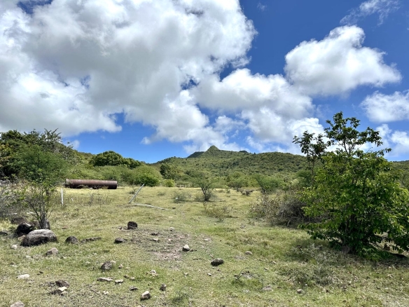 Busch Hill Gardens  Lot A3 – 1 Acre