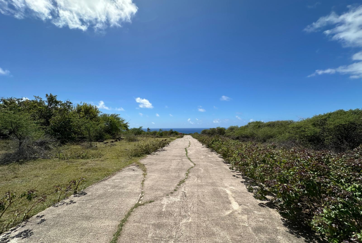 Busch Hill Gardens Lot A2 – 1 Acre