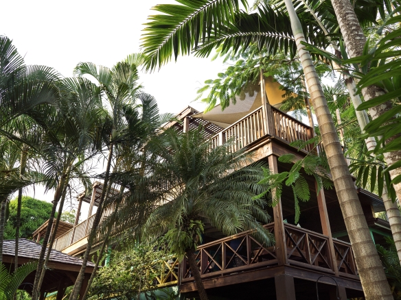 Bananas Restaurant, Boutique & Residence