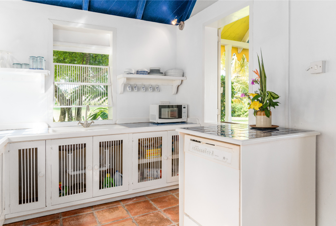 Capisterre – 19.5 Acres