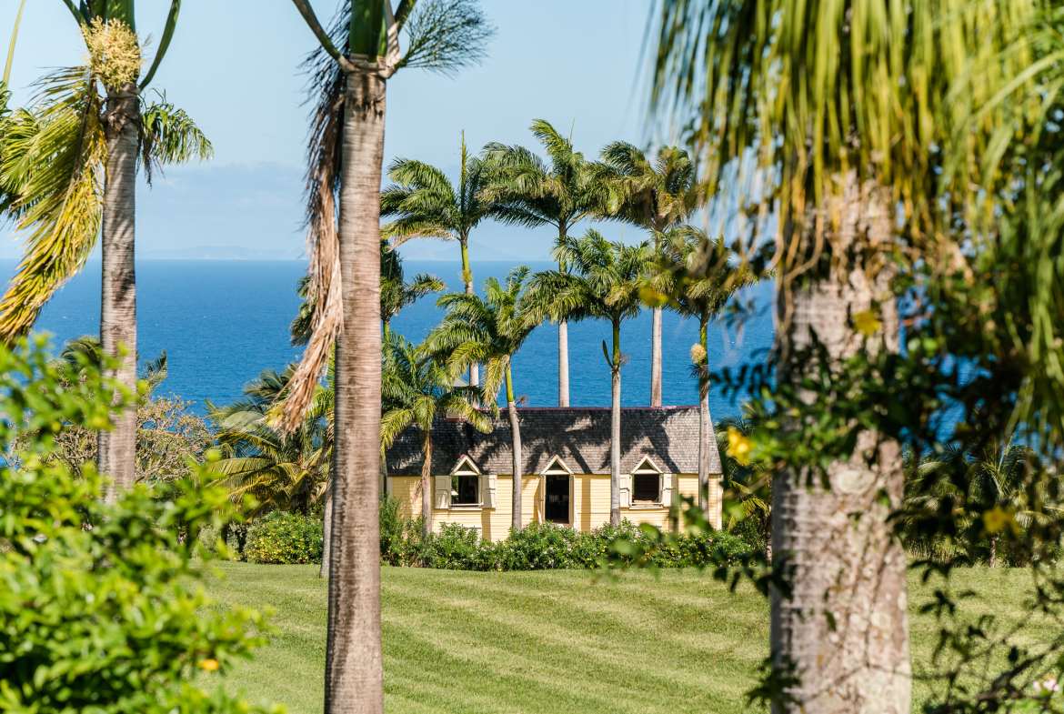Capisterre – 19.5 Acres