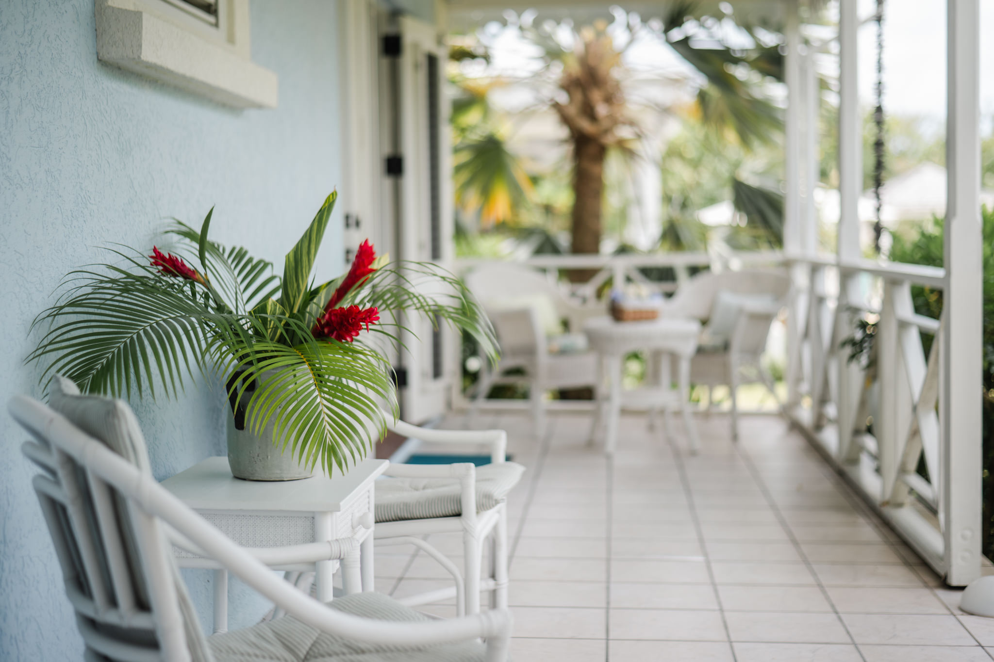 2025_04_23_StKittsNevisRealty_Mangrove_WebReady-187 Seaside Paradise – 2.75 acre Beachfront Estate