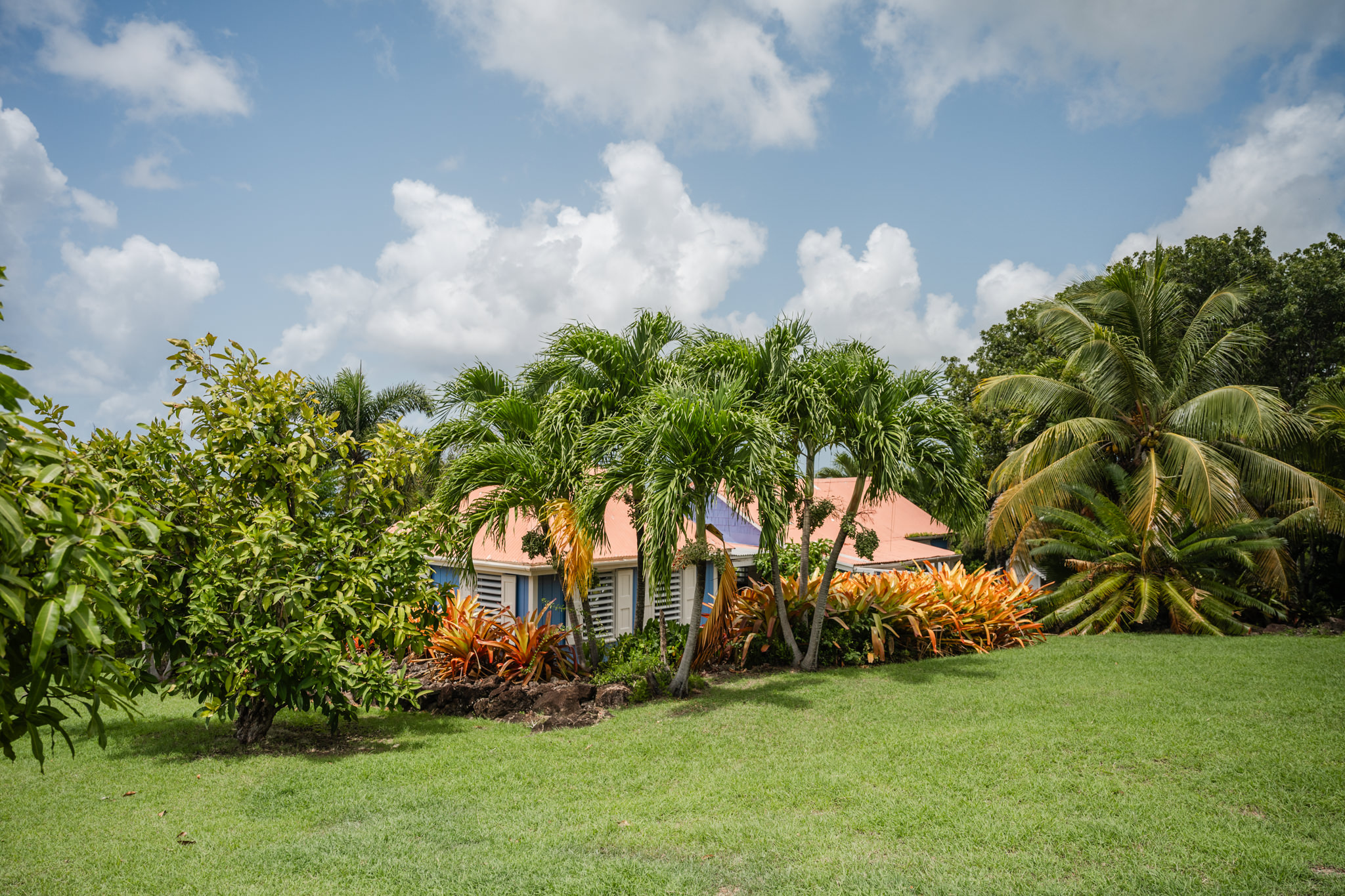 Kinja Rules – Charlestown – Under Contract