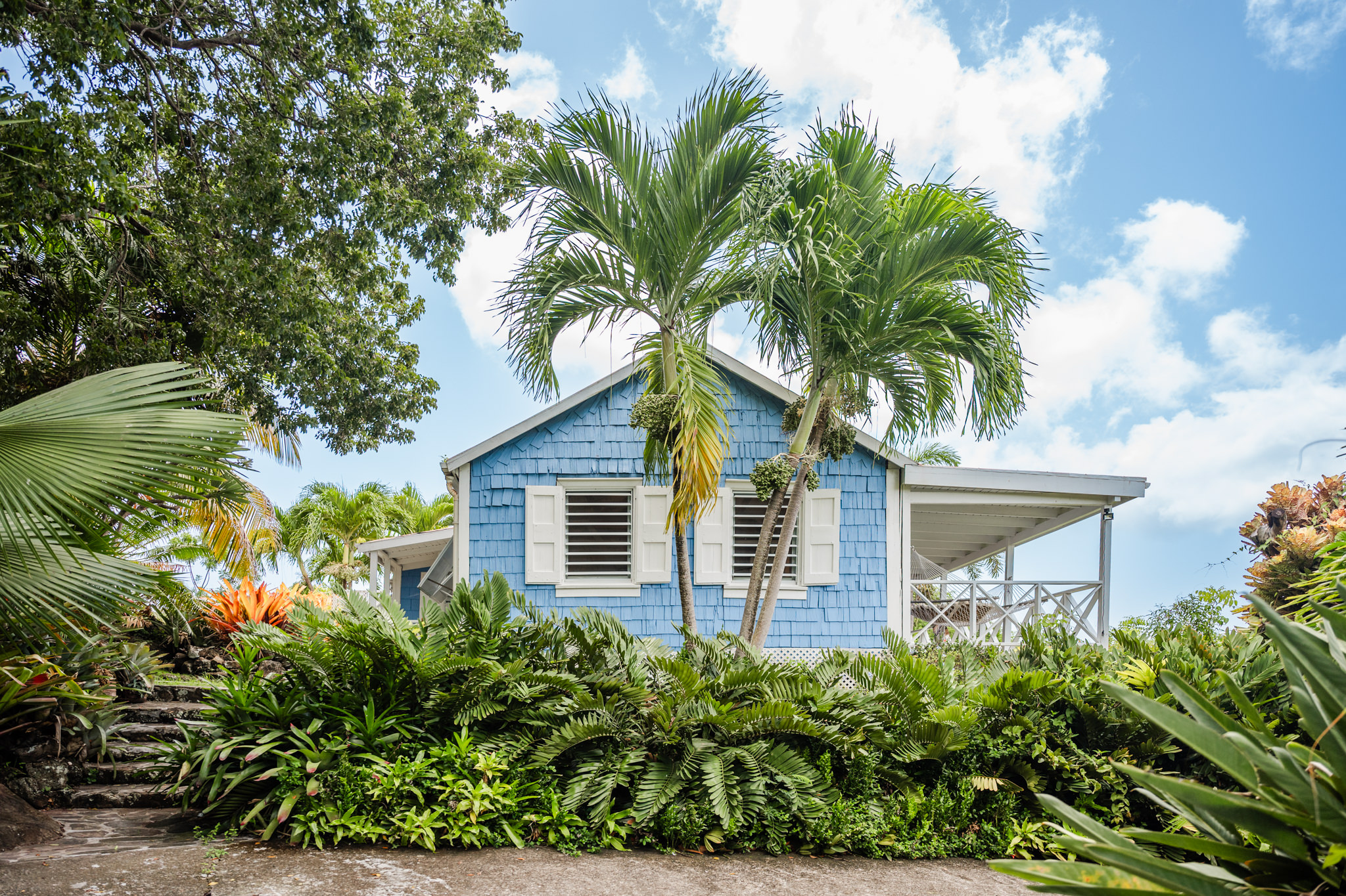 Kinja Rules – Charlestown – Under Contract