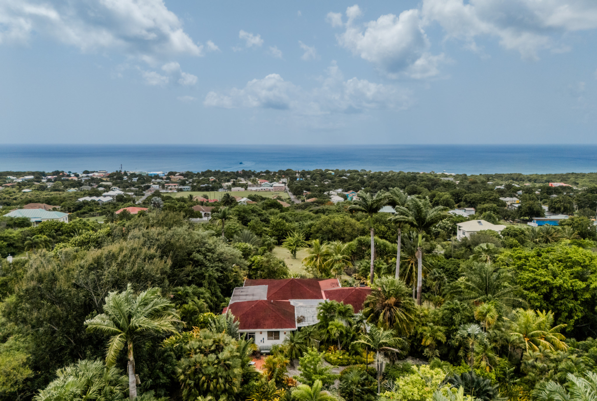 Kinja Rules – Charlestown – Under Contract