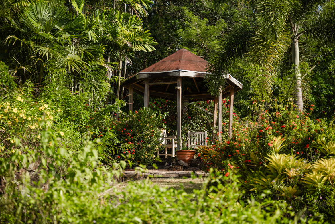 Kinja Rules – Charlestown – Under Contract