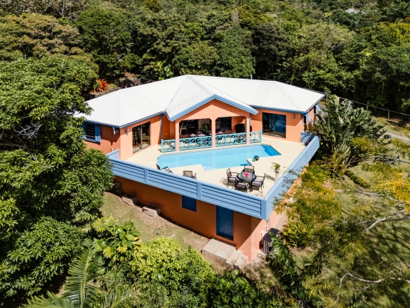 Home Tree Villa – Under Contract