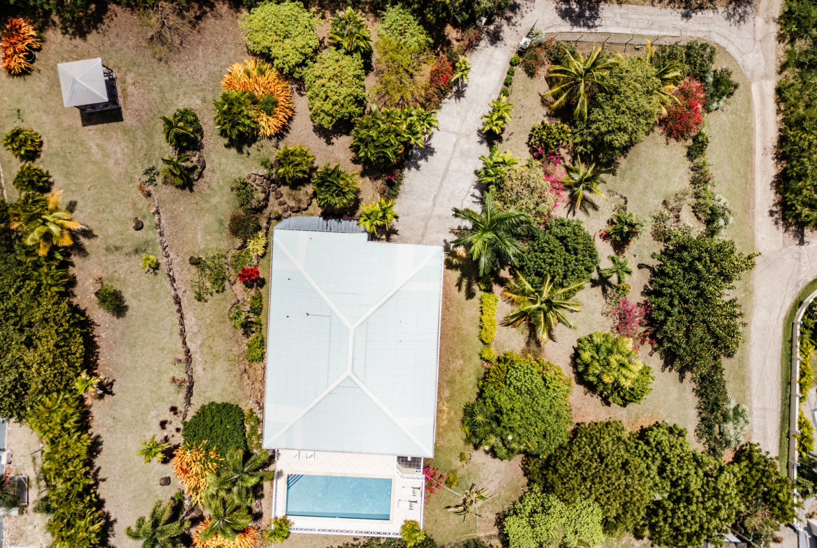 Too Much Nice – 1.4 Acres