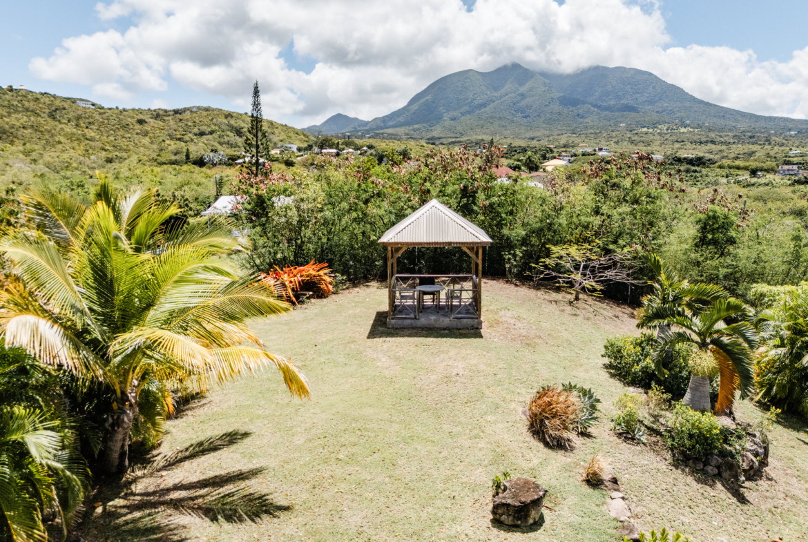 Too Much Nice – 1.4 Acres