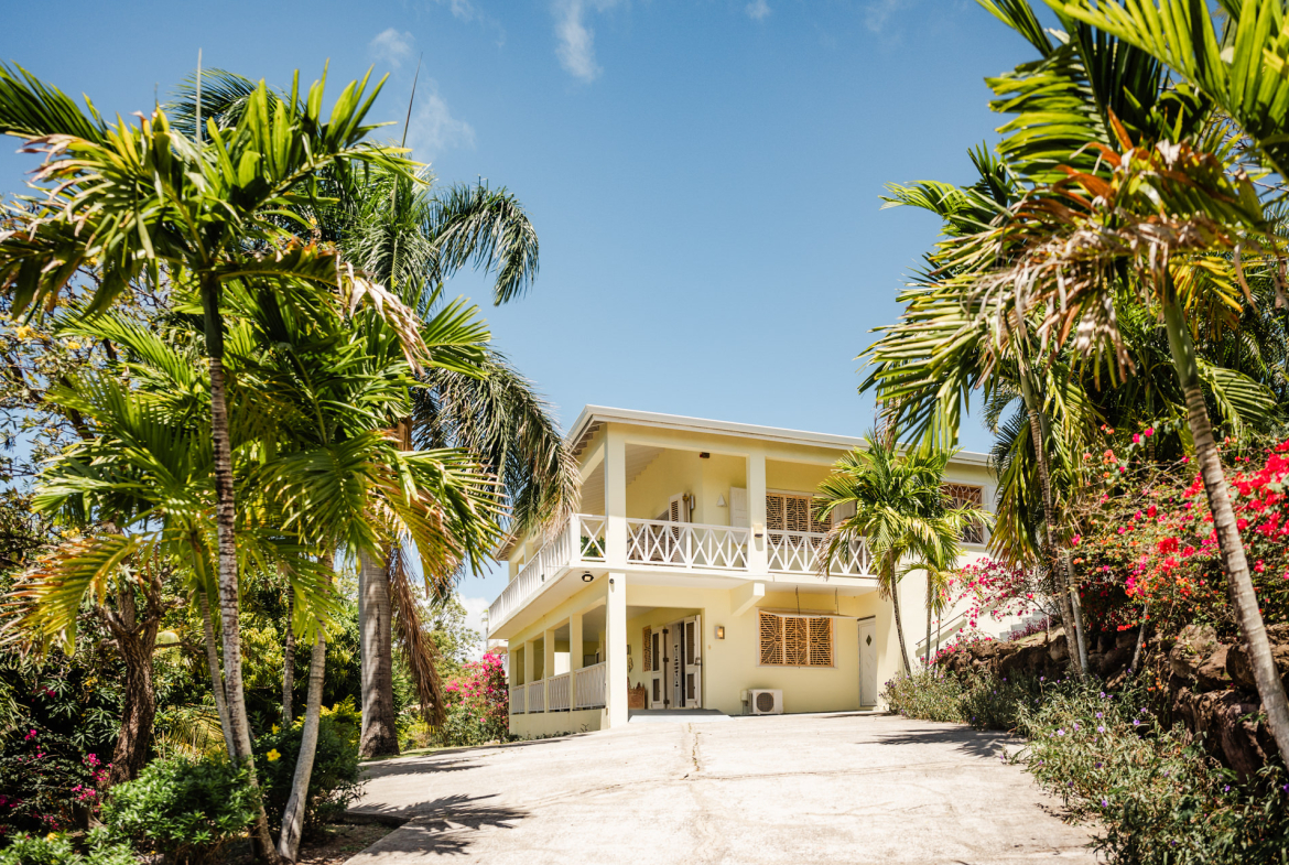Too Much Nice – 1.4 Acres