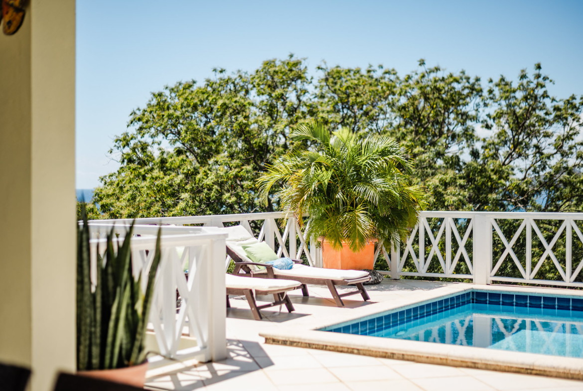 Too Much Nice – 1.4 Acres