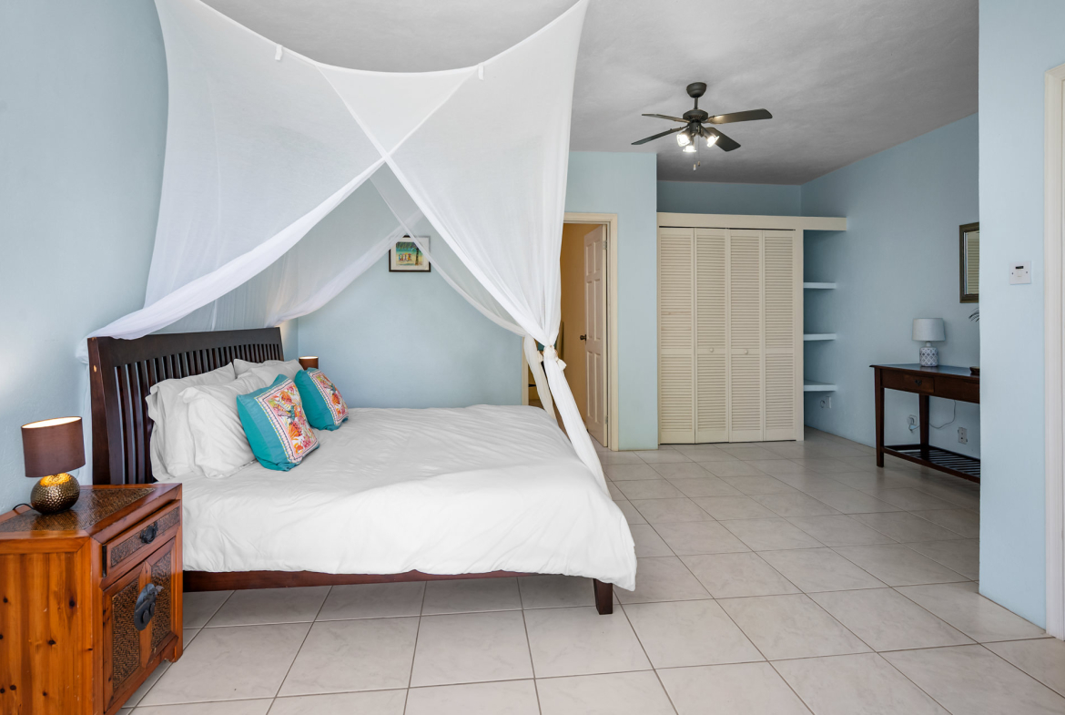 Too Much Nice – 1.4 Acres