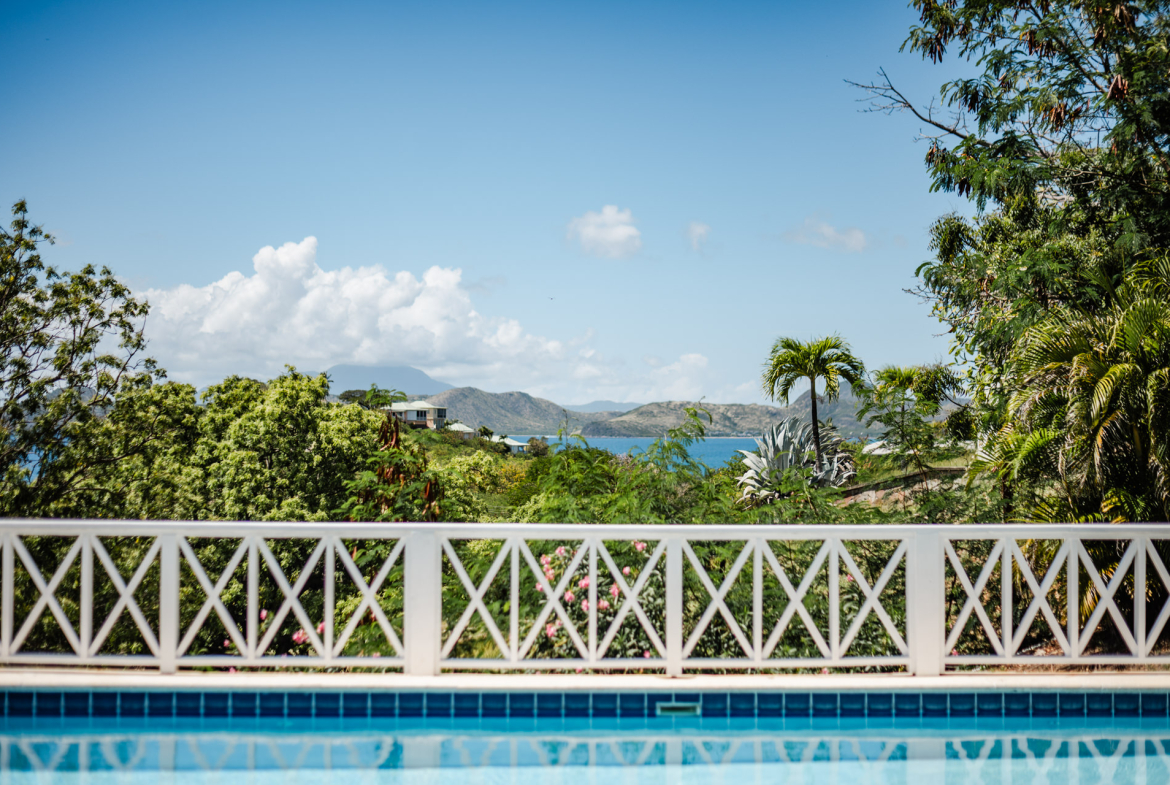 Too Much Nice – 1.4 Acres