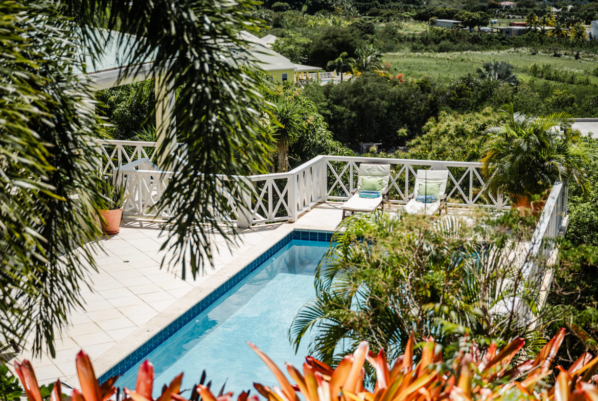 Too Much Nice – 1.4 Acres