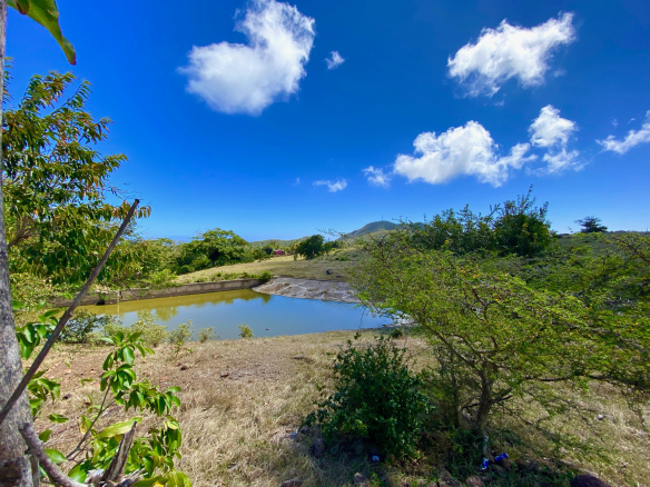 Old Manor Estate Lot – 20.88 Acres